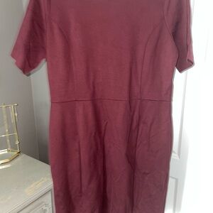 Ann Taylor Shift Dress in Seasonless Stretch. Elbow length sleeve 10 petite.